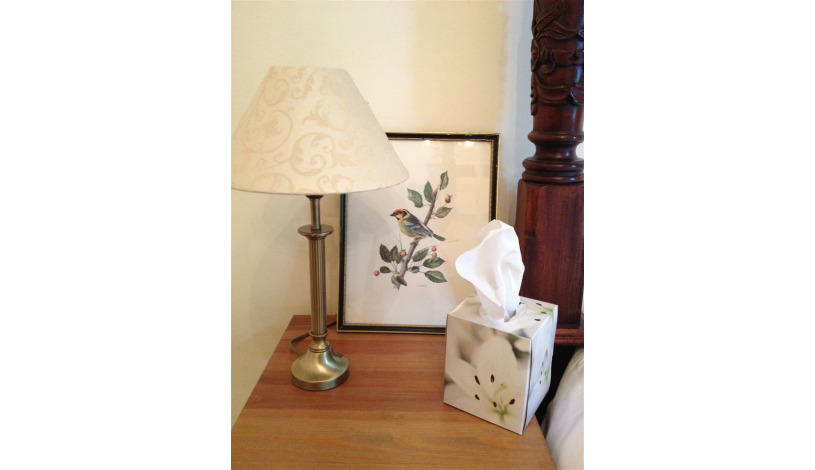 Apartment Easter Rd Edinburgh - Apt 23954