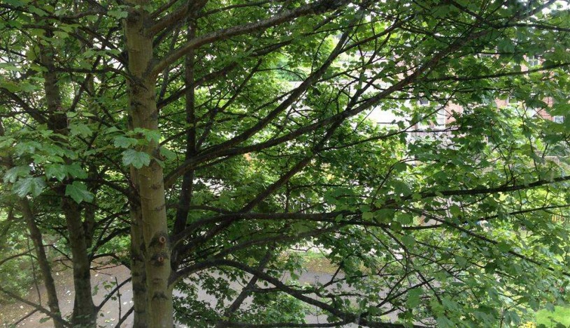 Apartment Easter Rd Edinburgh - Apt 23954