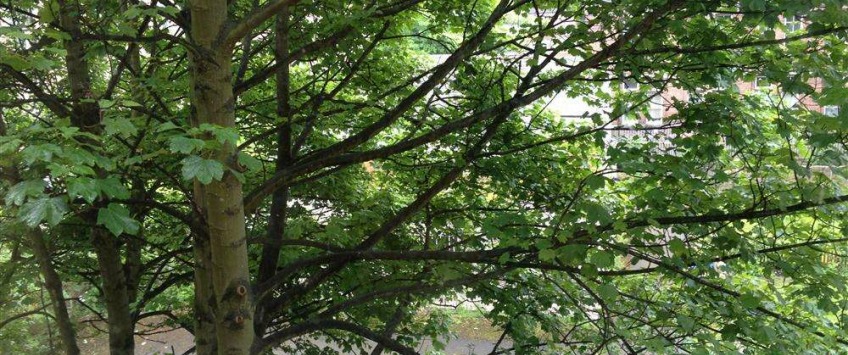 Apartment Easter Rd Edinburgh - Apt 23954