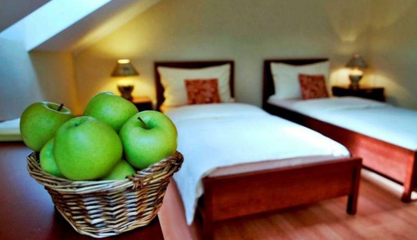 Eco friendly Hotel Dália**** Košice - Dojlôžková Economy, Dvojlôžková Quality