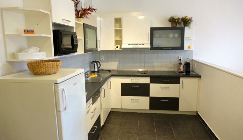EEL Brno apartments - apartmán Vodní ul.
