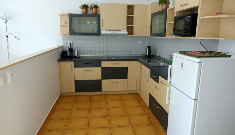 EEL Brno apartments - apartmán Vodní ul.