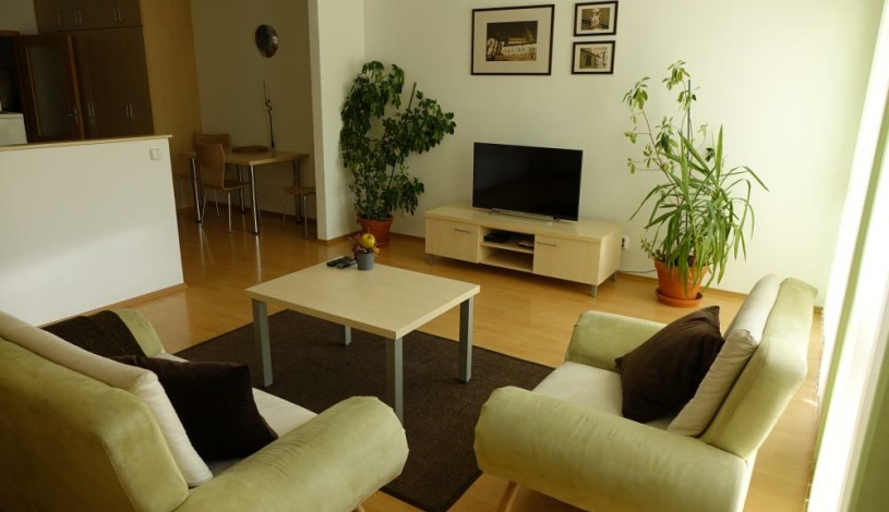 EEL Brno apartments - apartmán Vodní ul.