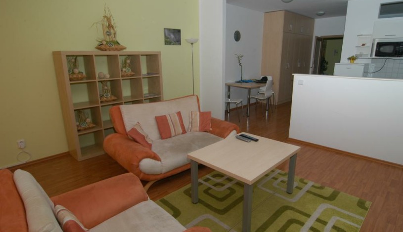 EEL Brno apartments - apartmán Vodní ul.