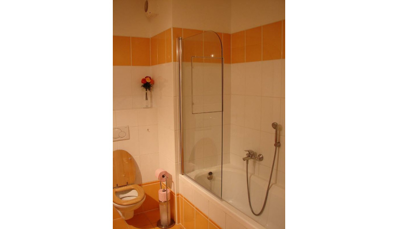 EEL Brno apartments - apartmán Vodní ul.