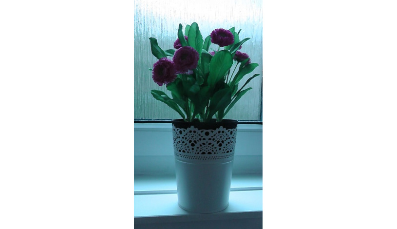 Apartment Elgin Terrace Edinburgh - Apt 37274