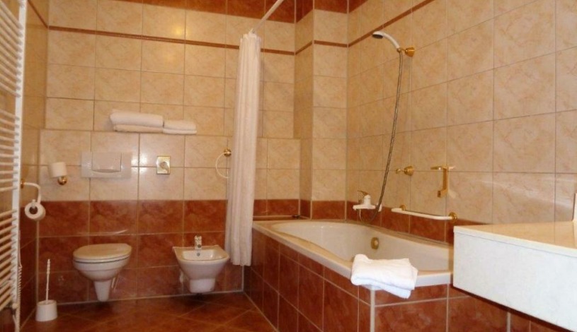 HOTEL ELIŠKA Karlovy Vary