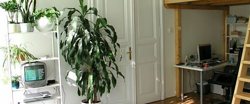 Apartment Eötvös utca Budapest - Apt 2117