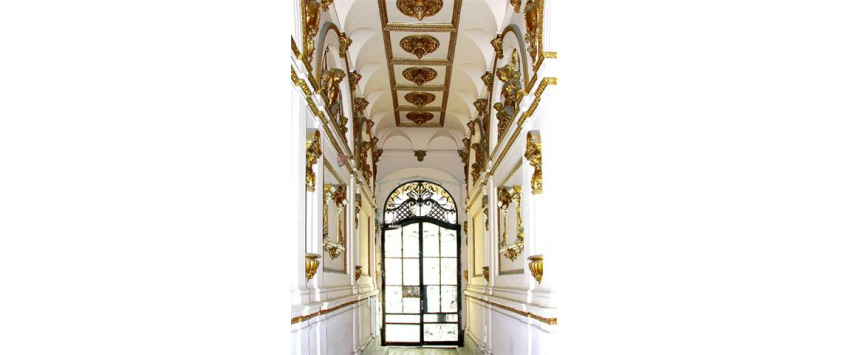 Apartment Erzsébet körút Budapest - Apt 16983