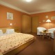 Двухместный номер  Executive - Extol Inn hotel Praha