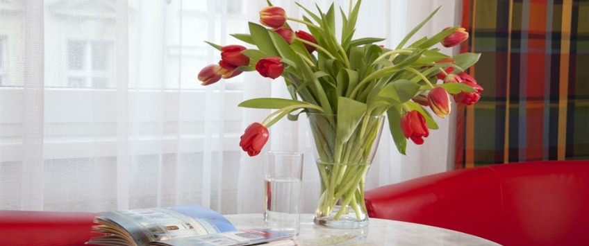 Apartment Ferchergasse Wien - Apt 27282