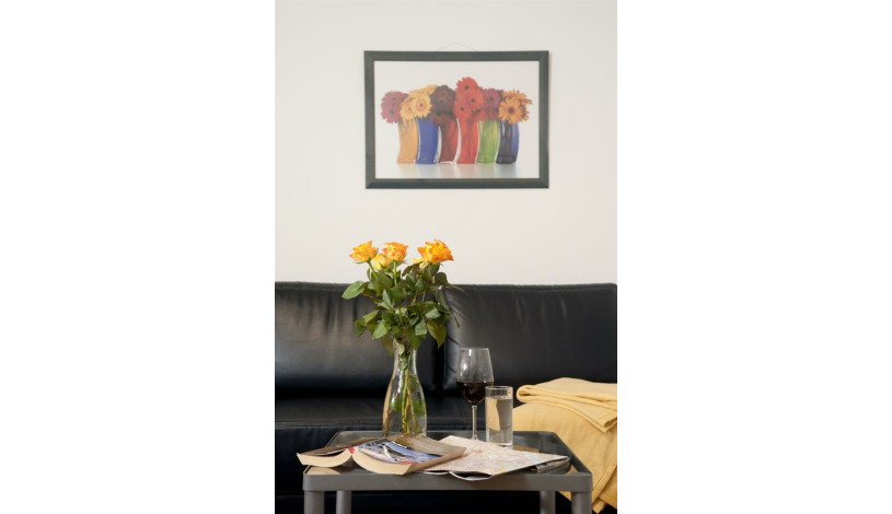 Apartment Ferchergasse Wien - Apt 27288