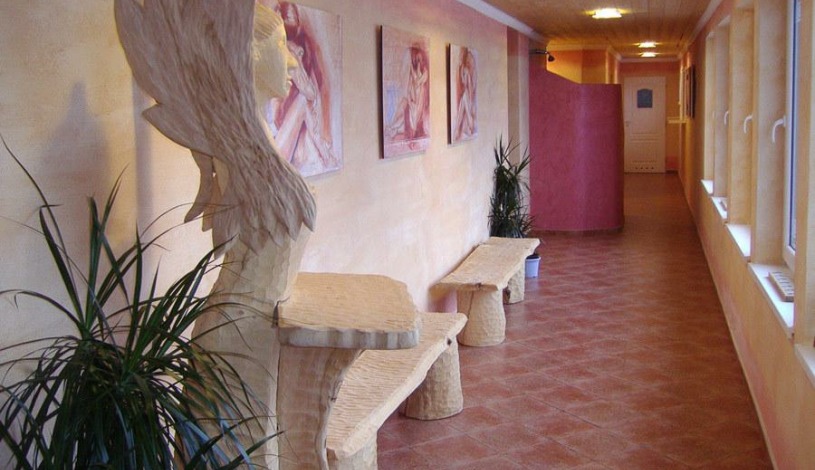 Wellness Hotel BAHENEC Písek