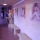 Wellness Hotel BAHENEC Písek
