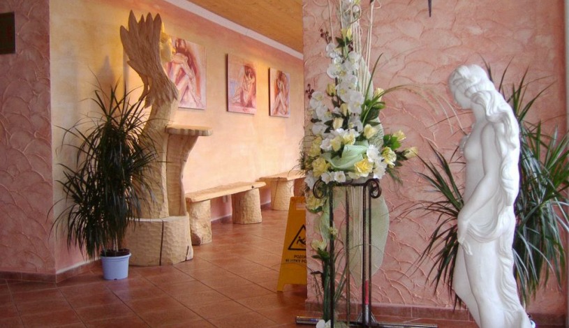 Wellness Hotel BAHENEC Písek