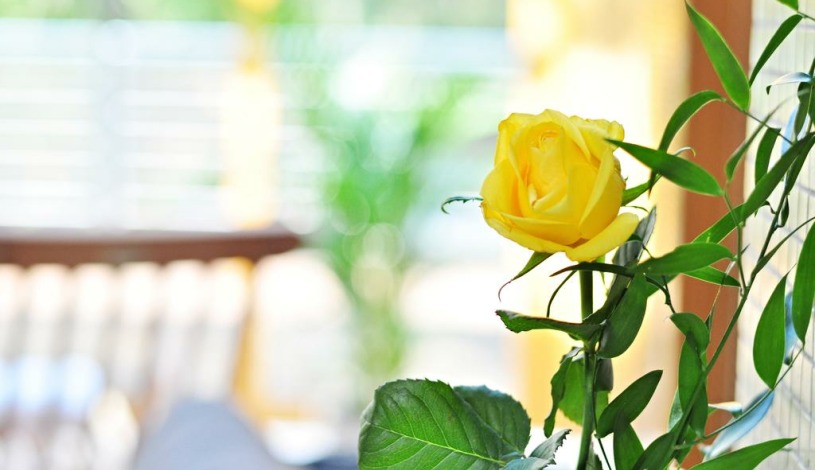 Horský hotel Čeladenka Čeladná