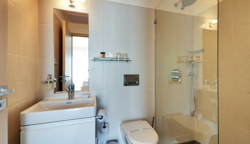 GREEN INN Hotel Ostravice - Superior studio s terasou