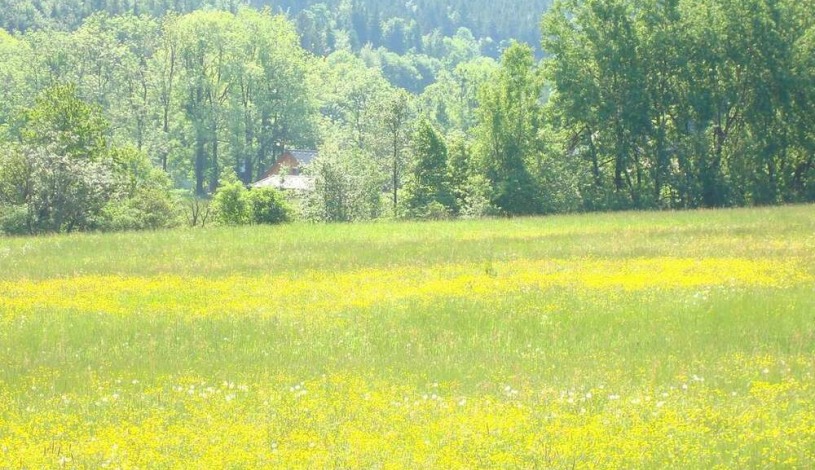 Horský hotel Hamry Čeladná
