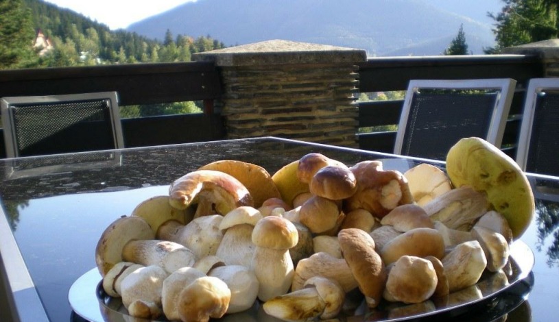 Horský hotel Ondráš Ostravice