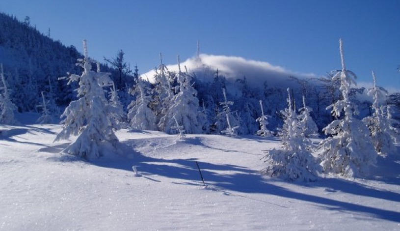 Hotel & Garden U Holubů Čeladná