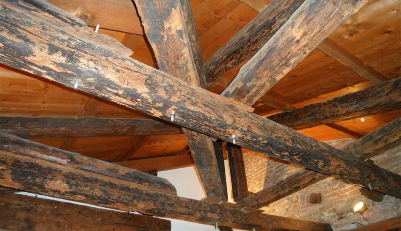 Apartment Fondamenta San Severo Venezia - Apt 35915