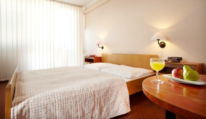 Hotel Fortuna Rhea Praha - Pokoj pro 1 osobu Standard, Pokoj pro 2 osoby Standard