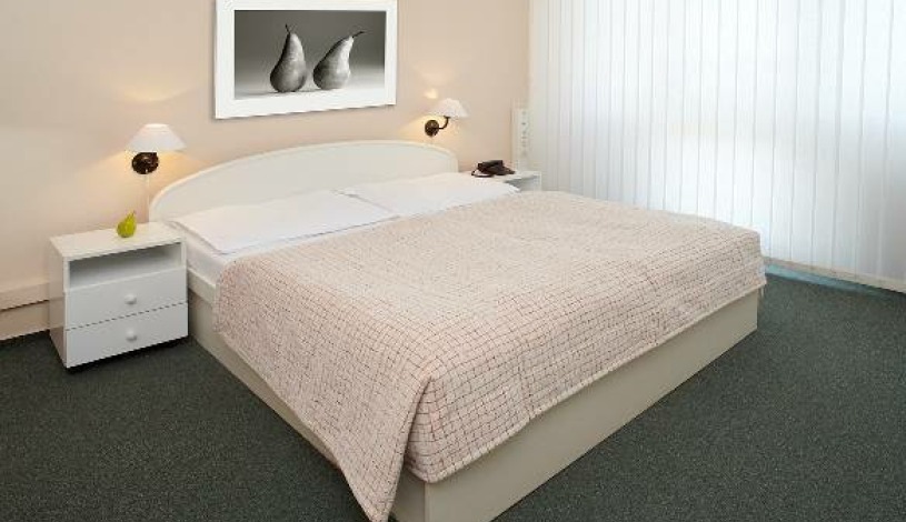 Hotel Fortuna Rhea Praha - Pokoj pro 2 osoby Standard
