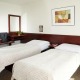 Triple room Standard - Hotel Fortuna Rhea Praha