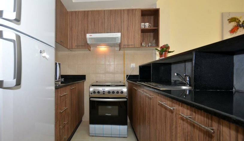 Apartment Fountain Dubai - Apt 38347