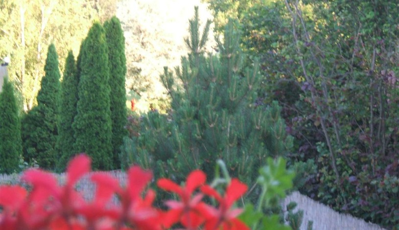 Apartment Füredi út Zánka - Apt 37314