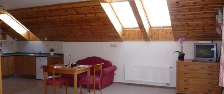 Garden Appartements Graf Praha - Apartment Garden