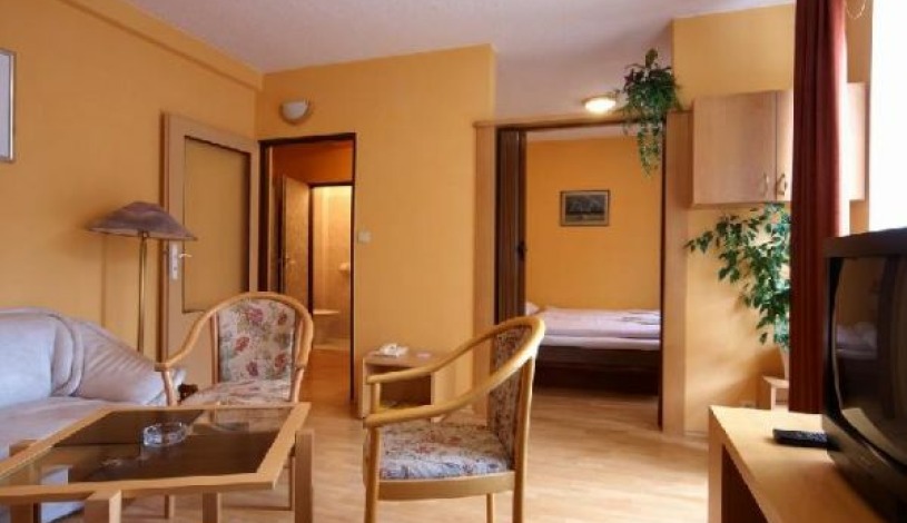 Hotel Global Brno