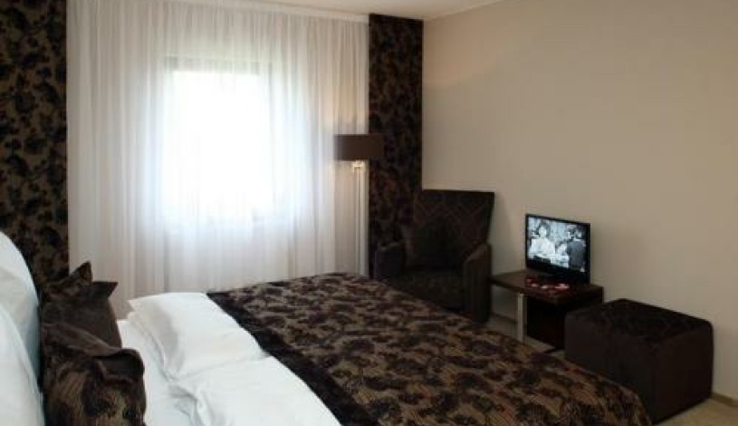 GOLDEN FISH HOTEL APARTMENTS Plzeň