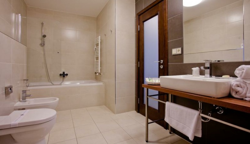 GOLDEN FISH HOTEL APARTMENTS Plzeň