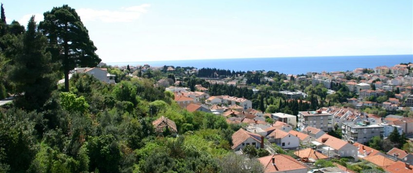 Apartment Gornji Kono Dubrovnik - Apt 38281