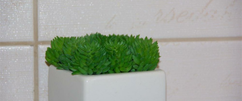 Apartment Gospodar Jevremova Beograd - Apt 38089