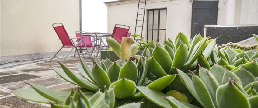 Apartment Gospodar Jovanova Beograd - Apt 31568