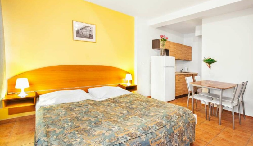 Apartment House Zizkov Praha - Apartament (1 sypialnia) - 2 osoby, Apartament (3 sypialnie)