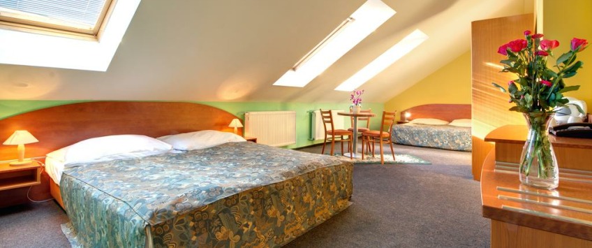 Apartment House Zizkov Praha