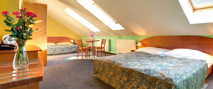 Apartment House Zizkov Praha