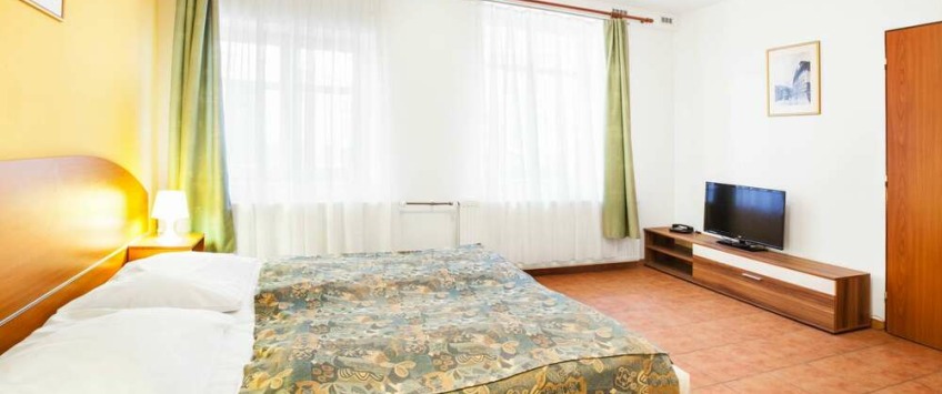 Apartment House Zizkov Praha - Apartament (3 sypialnie)