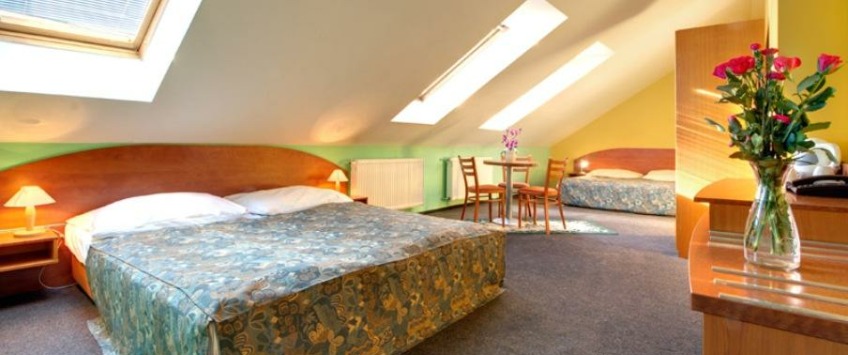 Apartment House Zizkov Praha