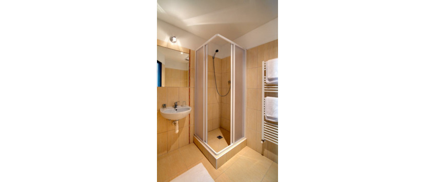 Apartment House Zizkov Praha