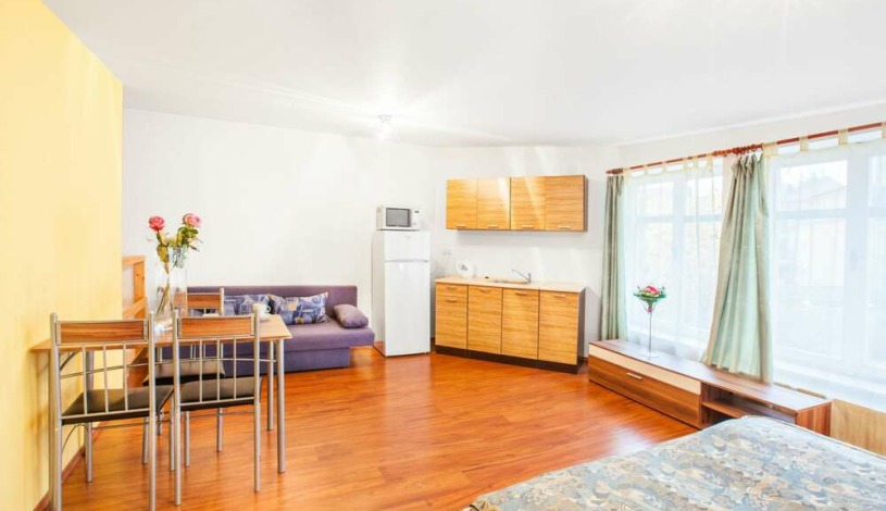 Apartment House Zizkov Praha - Apartament na poddaszu