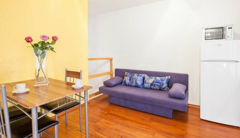 Apartment House Zizkov Praha - Apartament na poddaszu