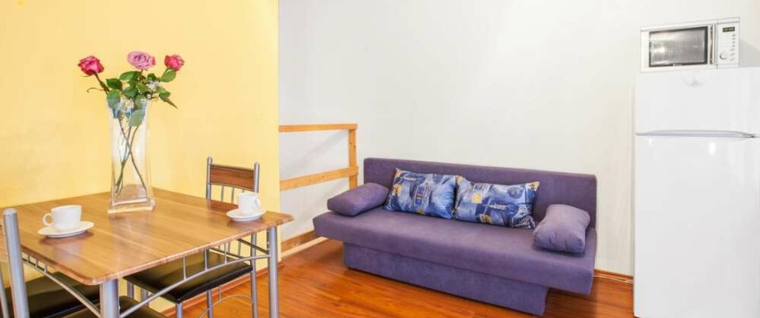 Apartment House Zizkov Praha - Apartament na poddaszu