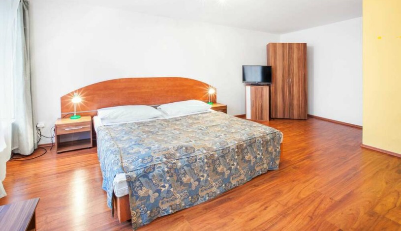 Apartment House Zizkov Praha - Apartament na poddaszu