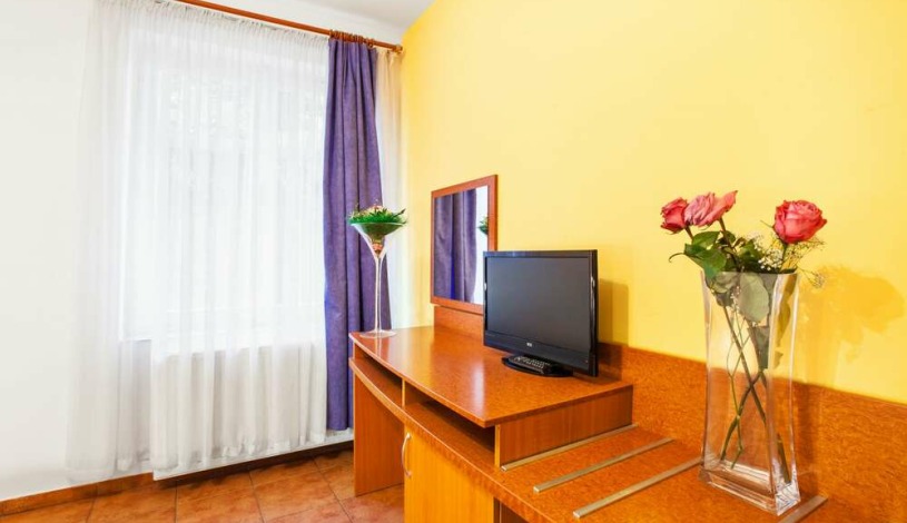 Apartment House Zizkov Praha - Apartament na poddaszu
