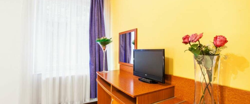 Apartment House Zizkov Praha - Apartament na poddaszu