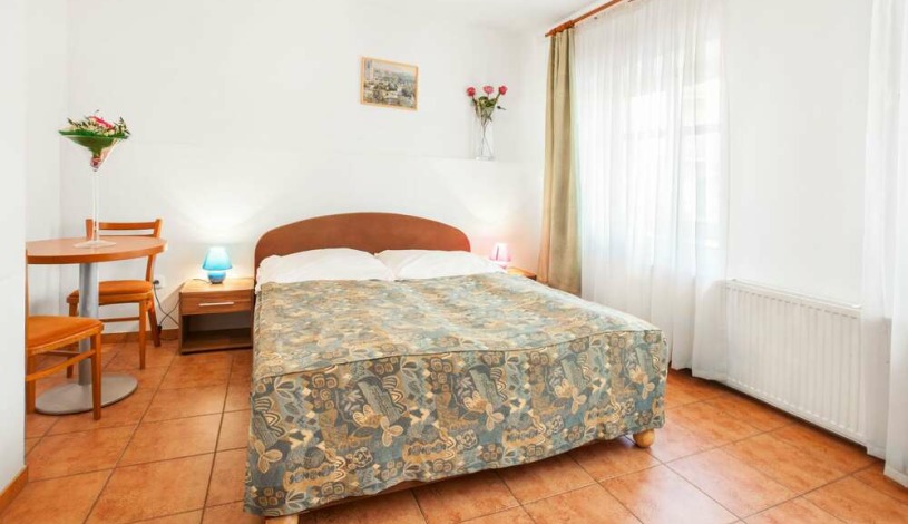 Apartment House Zizkov Praha - Apartament na poddaszu